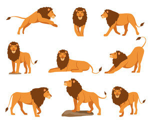 Lion character vector illustrations set. Orange cartoon feline, king of animals with tail lying, jumping, walking, stretching isolated on white background. Nature, wildlife, animals, mascot concept