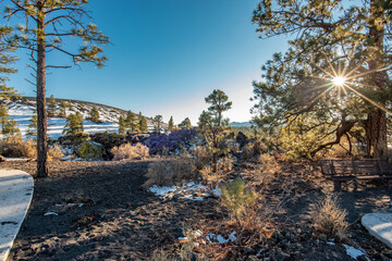 Sunset Crater park in Arizona, with a bright sunstar flare and melting snow on the ground.