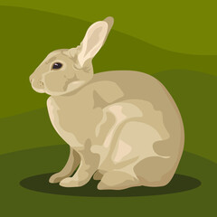 Animal hare or rabbit icon. realistic vector isolated zoology flat design forest wild jack rabbit hare white and brown for wild fauna and nature zoo or open season hunting club or sport team icon