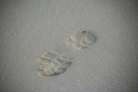 Closeup Shot Of A Footprint On White Sand