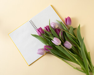 Creative spring flower arrangement with negative space made of fresh tulips and open notebook on yellow background.