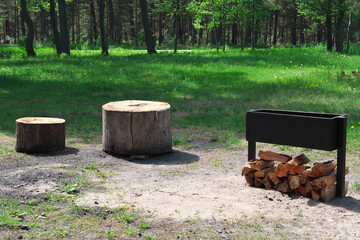 Barbecue, firewood and a place to relax in a forest park.