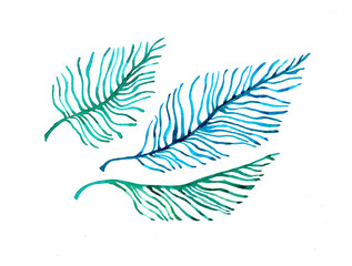 Obraz premium Hand drawn watercolor flowers Leaves elements