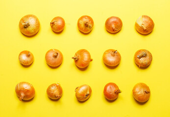 onion bulbs on yellow background