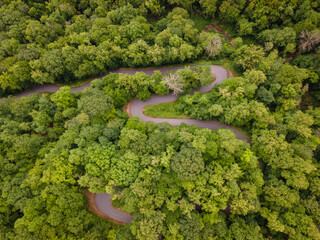 Aerial View of Winding Mountain Road in Appalachian Mountains of North Carolina in the Summer