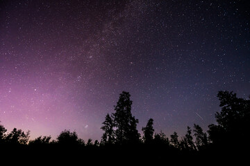 Naklejka premium Silhouette of the forest in the night sky