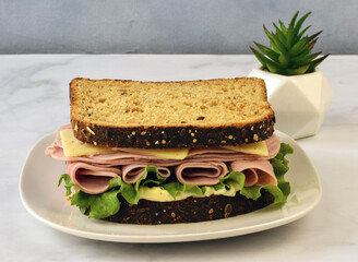 ham sandwich top with swiss cheese