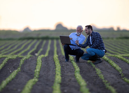 Farmer and businessman crouching in soy field planning agriculture