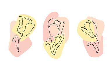Set of spring tulips. Simple cute flowers with abstract shapes in pastel colors. Hand-drawn Vector illustration on a white background. Design for postcards, posters, stickers