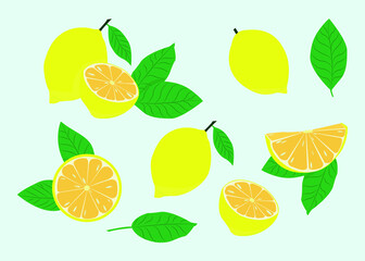 Fresh lemon fruits. Whole lemon and lemon wedges with leaves. Illustration for print, logo, label, advertising.