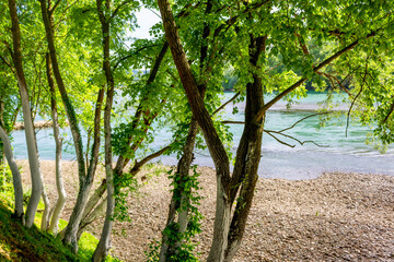 Beautiful green trees by the river in the sunlight, peaceful scene with bright colors