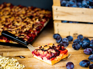 Zwetschgenkuchen