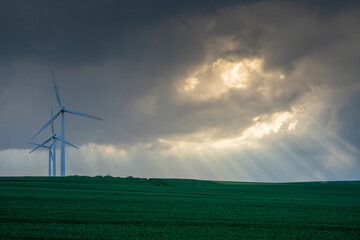 Obraz premium wind turbines in the field