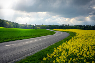 road in the field
