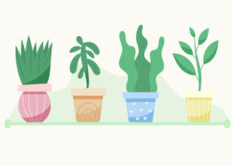 set of indoor plants. Plants in pots. Deciduous plants.
