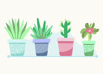 set of plants in pots. Exotic species.