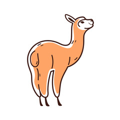 Cute alpaca - cartoon animal character. Vector illustration in flat style isolated on white background.