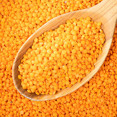 whole red lentils in wooden spoon closeup