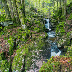 cascades du Rummel dans les Vosges au printemps sur la commune de Lepuix. Un site naturel frais,...