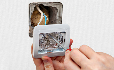 Repair of an electrical outlet or light switch in apartment.