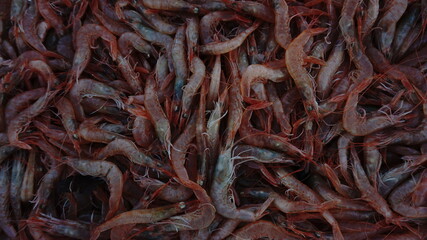 fresh shrimp on market stall