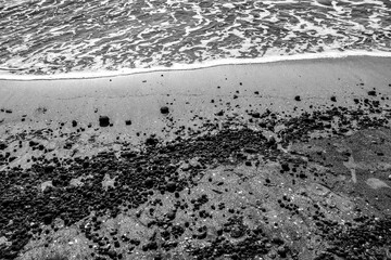 Oceanic Posidonia remains on the shore