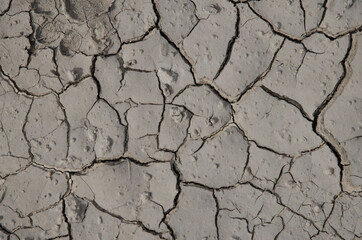 cracked earth texture