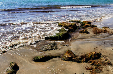 Beach in the morning