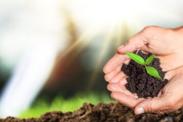 Soil.
