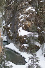Frozen Riverbank Wintertime