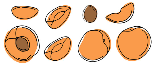 Set of exotic fruits, summer fruit apricot