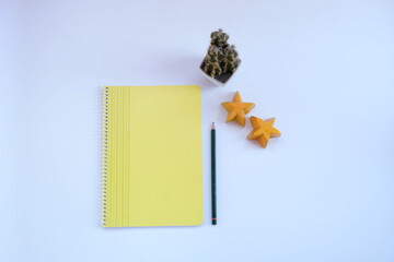 Yellow notebook, green pencil isolated on white background