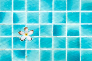 The flowers float in the water at the pool inside the hotel