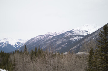Mountain Peak with Forest
