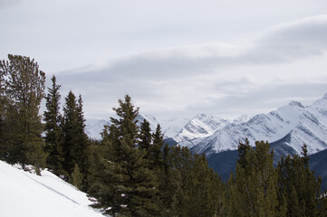Mountain Peaks Range Forest