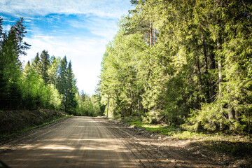 Obraz premium The road among the Karelian taiga. Pine forest on the side of the road. Trip to Karelia. Highway among the trees. Driving on a trip to beautiful places. Karelia. Day.