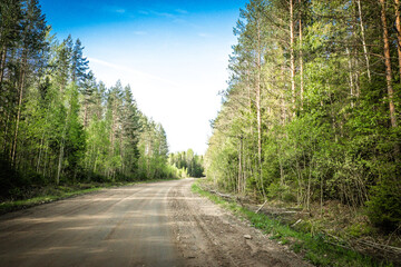 Fototapeta premium The road among the Karelian taiga. Pine forest on the side of the road. Trip to Karelia. Highway among the trees. Driving on a trip to beautiful places. Karelia. Day.