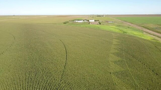 Aerial Forward Shot Of Green Landscape Against Clear Sky, Drone Flying Over Structures On Sunny Day - Oakley, Kansas