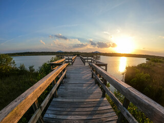 Obraz premium Wooden walkway over mangroves and the Spruce Creek at sunset, Florida, USA.