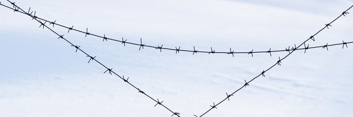 Old barbed wire on a background of snow. Barbed wire closeup. Shallow depth of field. Siberia, Russia.