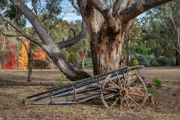 Old wagon under a gum tree - Heathcote, Victoria, Australia