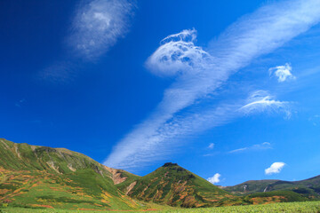大雪山国立公園旭岳裾合平の紅葉