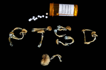 Psychedelic Magic Mushrooms of the genus Psilocybe Cubensis for treatment of mental health problems like PTSD, depression and anxiety - obrazy, fototapety, plakaty