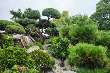 Japanese Garden of Buenos Aires, Argentina.
