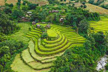 Rice Terraces in Doi inthanon national park in chiang Mai province, Thailand