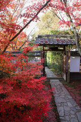 Fototapeta na wymiar 京都金福寺の紅葉風景