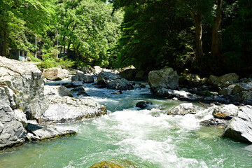 新緑の摂津峡渓谷