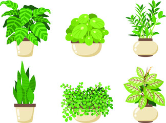 Plant set. Home decoration trees. Garden vector collection. Vector Illustration.