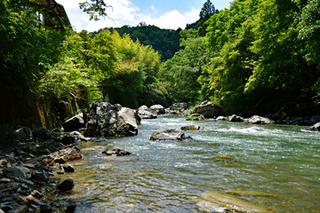 新緑の摂津峡渓谷