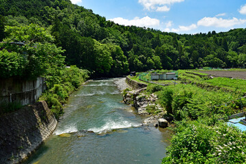 新緑の摂津峡渓谷上流